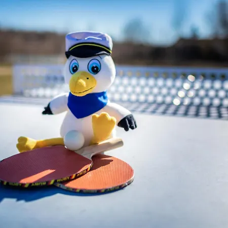 Lagovida Duenenhaus Comfort I Am Stoermthaler 그로스푀스나